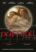 Гриб дождевик    / Puffball