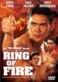 Огненный ринг (Огненное кольцо)    / Ring of Fire II: Blood and Steel